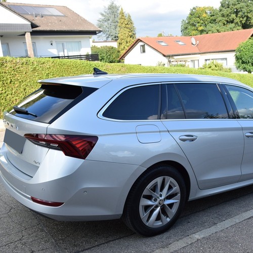 Tönungsfolie passgenau für